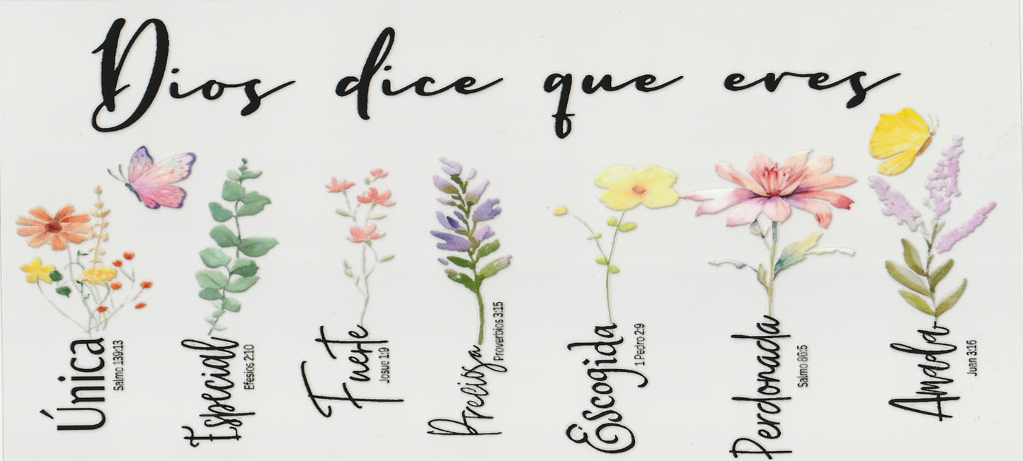 Dios dice que eres