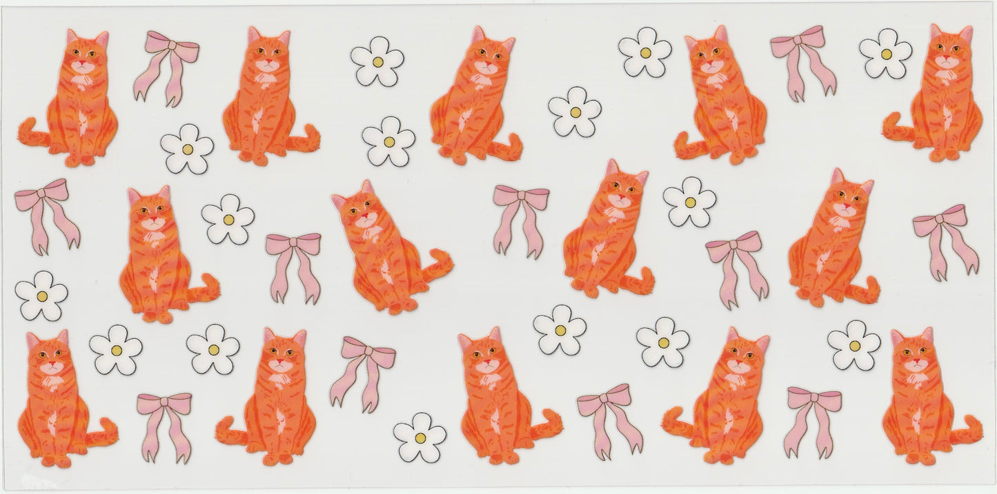 Orange cat