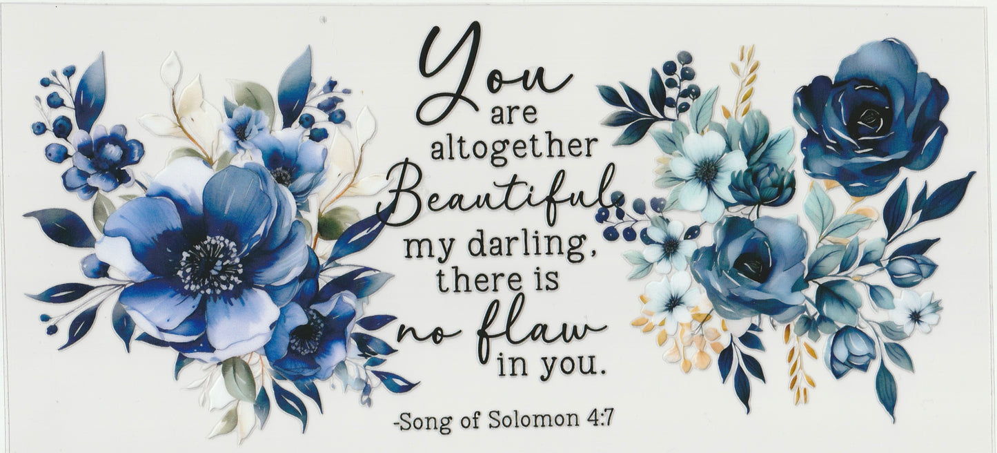 Song of Solomon 4:7