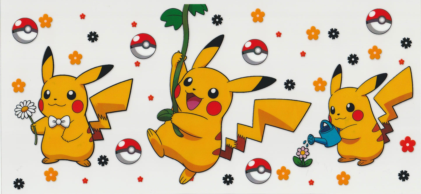 Pokémon