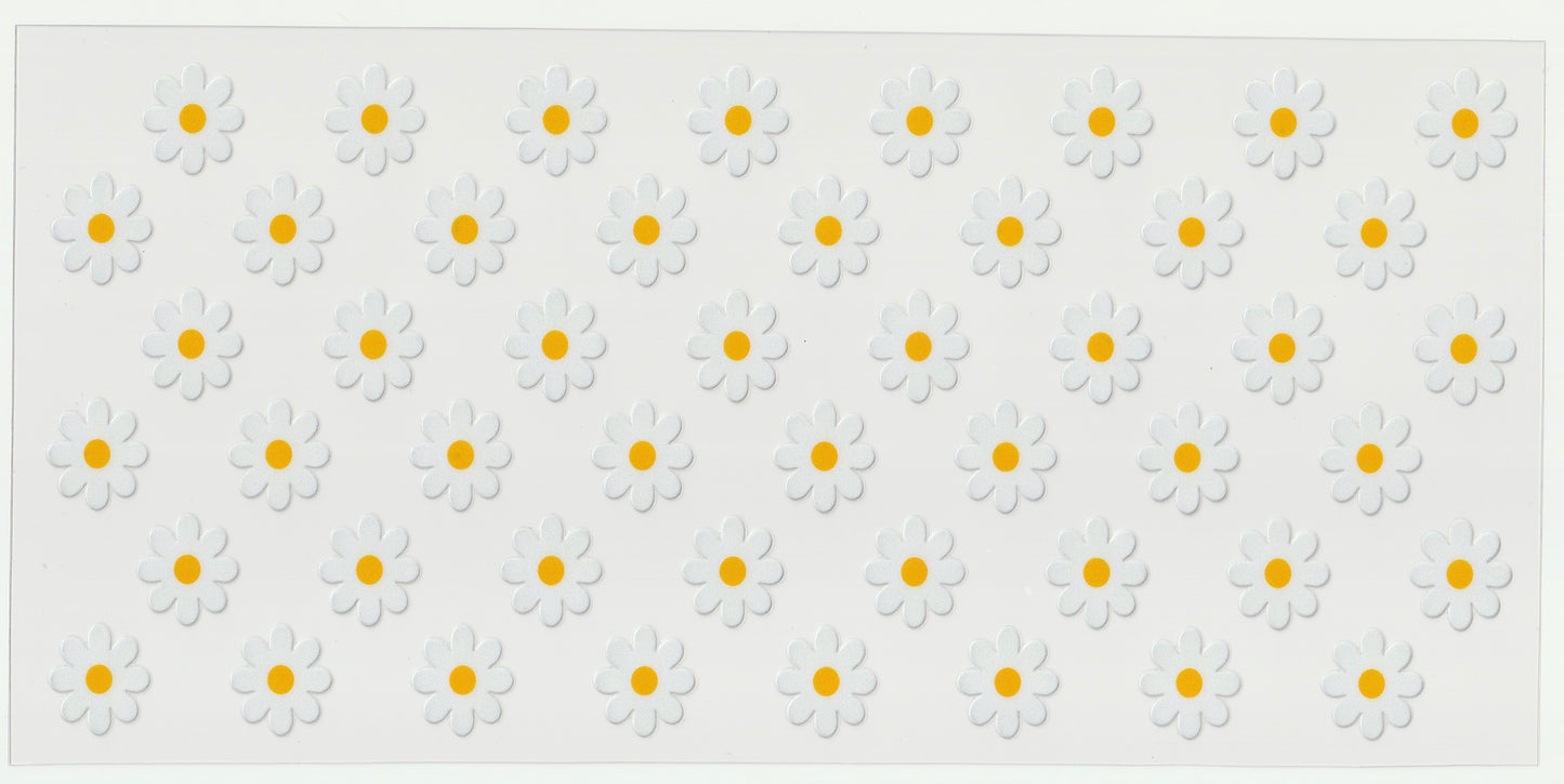 Daisy