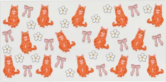 Orange cat