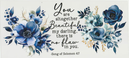 Song of Solomon 4:7