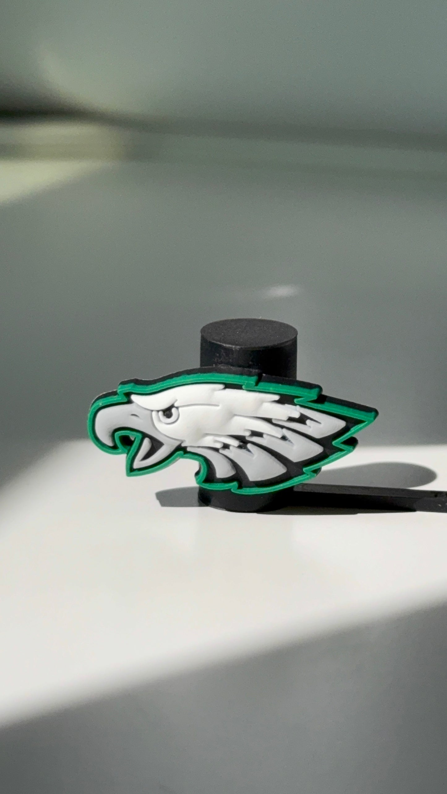 Philadelphia Eagles Straw Topper