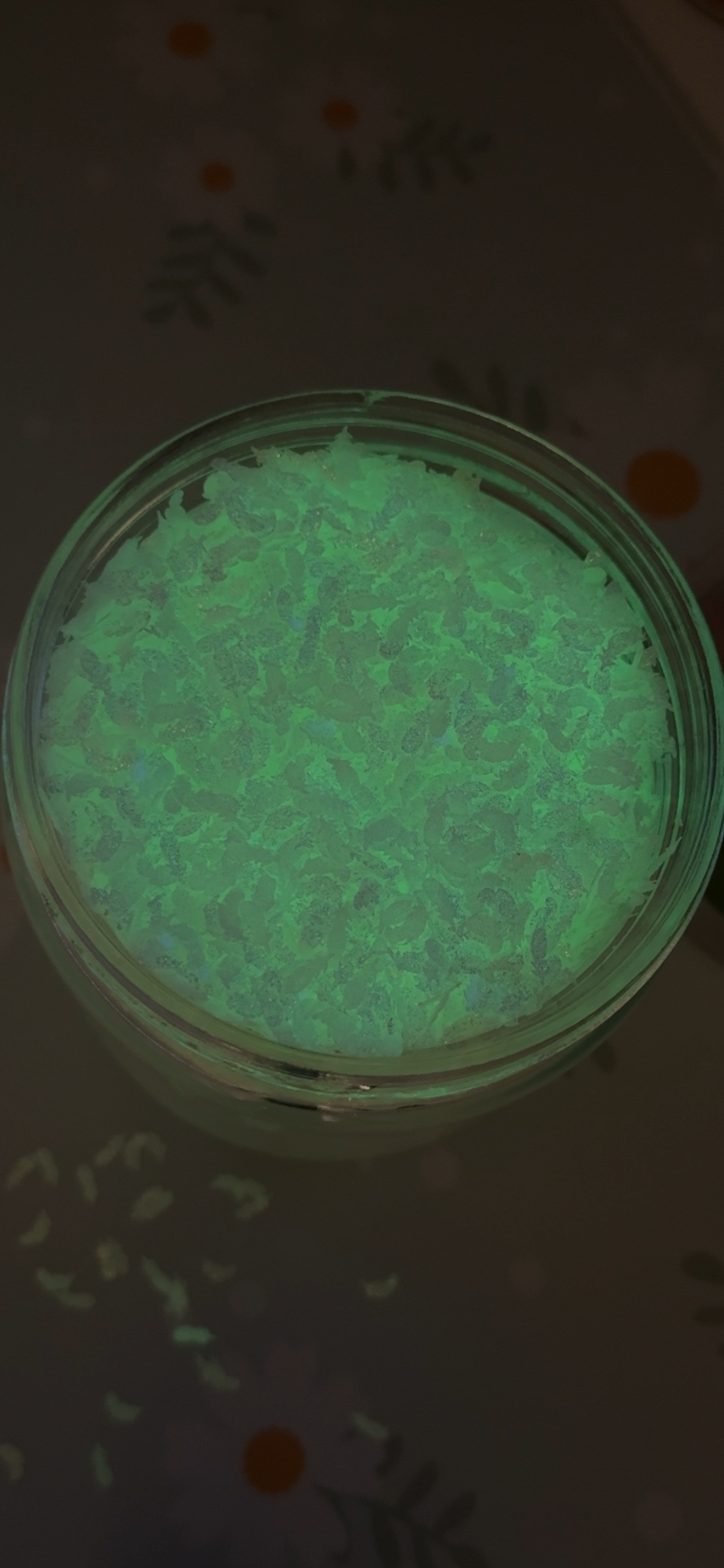 Glow in the dark Feather Shaped Glitter